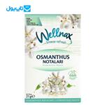 پودر خوشبو کننده ولناکس Wellnax مدل Osmanthus Notes  21 گرمی