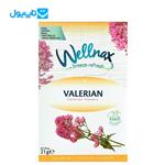 پودر خوشبو کننده ولناکس Wellnax مدل Valerian Flowers  21 گرمی