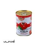 رب گوجه فرنگی شیلانه 500 گرم 