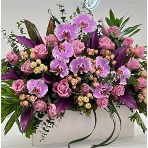  گل برای کلینیک دندانپزشکی تجریش 8009