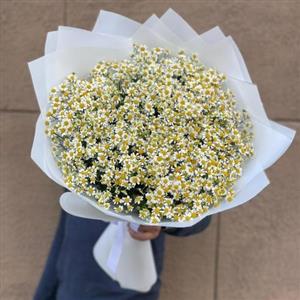 ارسال فوری گل برای پشتیبانی بانک مهر تهران 7283