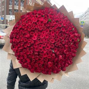  گل برای بیمارستان یاس هفت تیر تهران 7186
