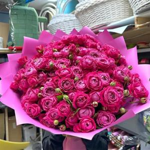  گل برای بانک ملی مهرگان تهران 7063