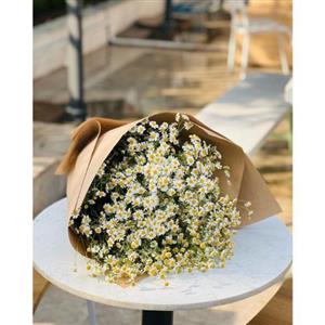  گل برای باشگاه یاس تهرانسر 7868