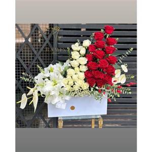 ارسال فوری گل برای آزمایشگاه نور 6533