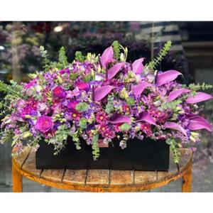 ارسال فوری گل برای آزمایشگاه نور تهران 7613