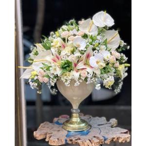  گل برای آزمایشگاه جوانه تهران 7488