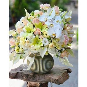 گل و هدیه برای قاضی زن 3355