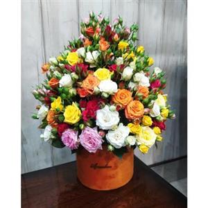 بهترین گل و هدیه برای یک روانشناس 2504