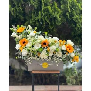 بهترین گل و هدیه برای یک مدیر 3068