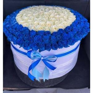 باکس گل رز آبی و سفید 6035