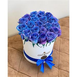 باکس گل رز ابی برای خواستگاری 6149