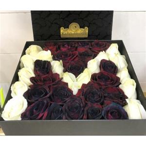 باکس گل رز با حرف M ساده 6321