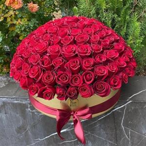 باکس گل رز برای عکاس 6228