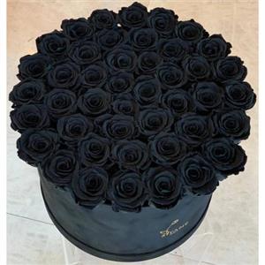 باکس گل رز مشکی 6049