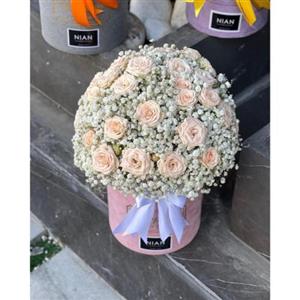 باکس گل رز گلبهی و ژیپسوفیلیا 6129