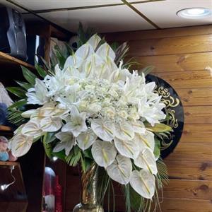 جام گل افتتاحیه 1106