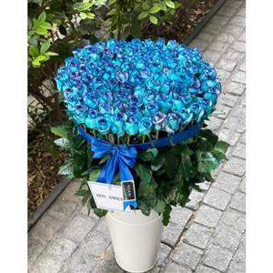 جام گل رز ابی 6344