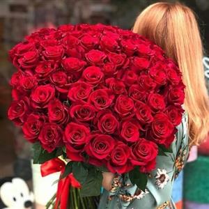 دسته گل رز قرمز برای پروفایل 6232