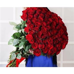 دسته گل رز 200 شاخه 6252
