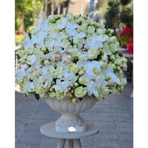 گل بزرگ و لوکس برای تبریک به مناسبت کریسمس 9705