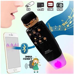 میکروفون اسپیکر WSTER-WS-2011