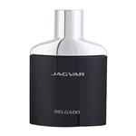 عطر جیبی مردانه ادوپارفوم دلگادو مدل Jagvar حجم 25 میلی لیتر 