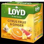 LOYD Citrus Fruit and Ginger