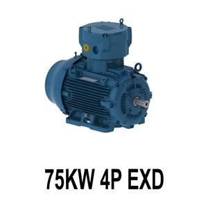 الکتروموتور وگ ضد انفجار 75KW 4P EXD