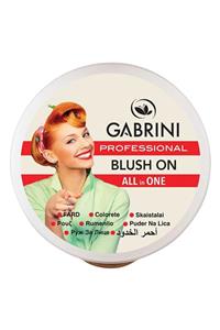 رژ گونه گابرینی Gabrini شماره 54