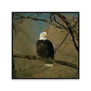 تابلو عقاب T10062300