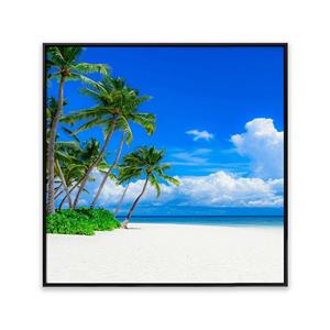 تابلو منظره دریا ساحل T10112600