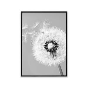 تابلو قاصدک سیاه و سفید T10038800