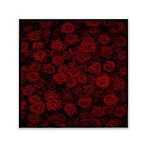 تابلو گل رز قرمز T10276700
