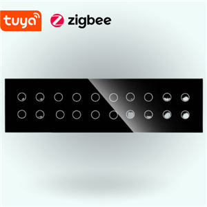 کلید بیست پل هوشمند Zigbee