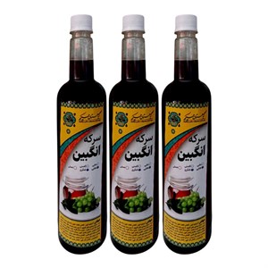 سرکه انگبین شکری نعنایی گیاهستان حکیم - 900 میلی لیتر بسته 3 عددی