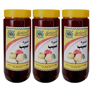 شیره سیب گیاهستان حکیم - 1 کیلوگرم بسته 3 عددی