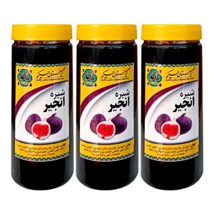 شیره انجیر گیاهستان حکیم - 1 کیلوگرم بسته 3 عددی