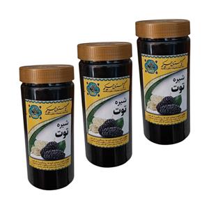 شیره توت گیاهستان حکیم - 1 کیلوگرم بسته 3 عددی