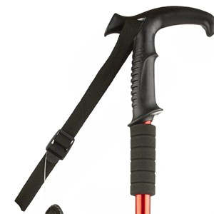 عصای کوهنوردی آل نیکو مدل A-66 بسته دو عددی