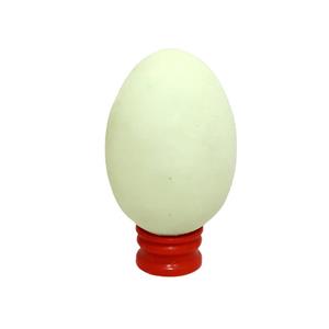 گوی مدل تخم مرغی