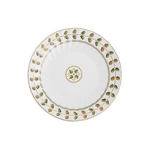 بشقاب غذاخوری گلدکیش طرح رویسا کد GK701139-2 بسته 6 عددی