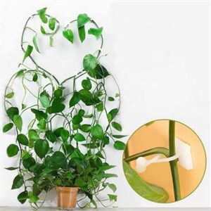 گیره نگهدارنده مدل پتوس بسته 10 عددی