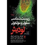 کتاب زیست شناسی سلولی و ملکولی اثر لودیش برک انتشارات ارجمند جلد 2