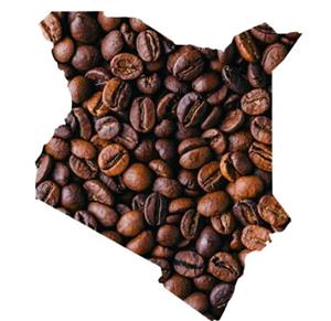 دانه قهوه کنیا سینگل اوریجین عربیکا شاران - 250 گرم