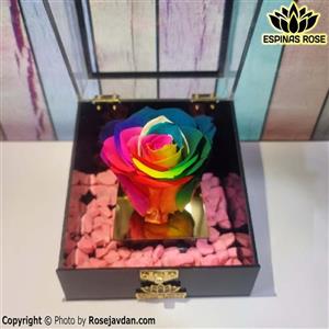 باکس گل رز جاویدان رنگین کمانی 6100