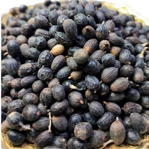 نخل اره ای فله