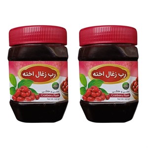 رب زغال اخته جالینوس - 450 گرم بسته 2 عددی