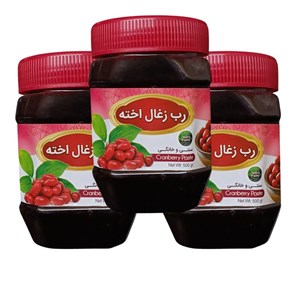 رب زغال اخته سنتی جالینوس - 450 گرم بسته 3 عددی