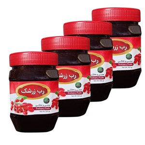رب زرشک سنتی جالینوس - 450 گرم بسته 4 عددی